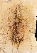 LEONARDO da Vinci The organs of the woman oil painting reproduction